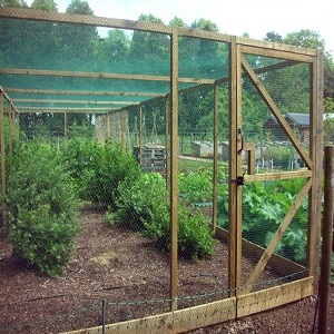 bird proof netting